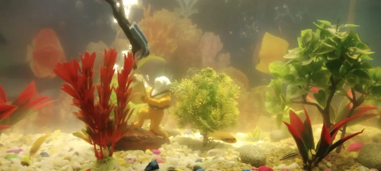 Fish Aquarium In Good Ccondition — photo 2