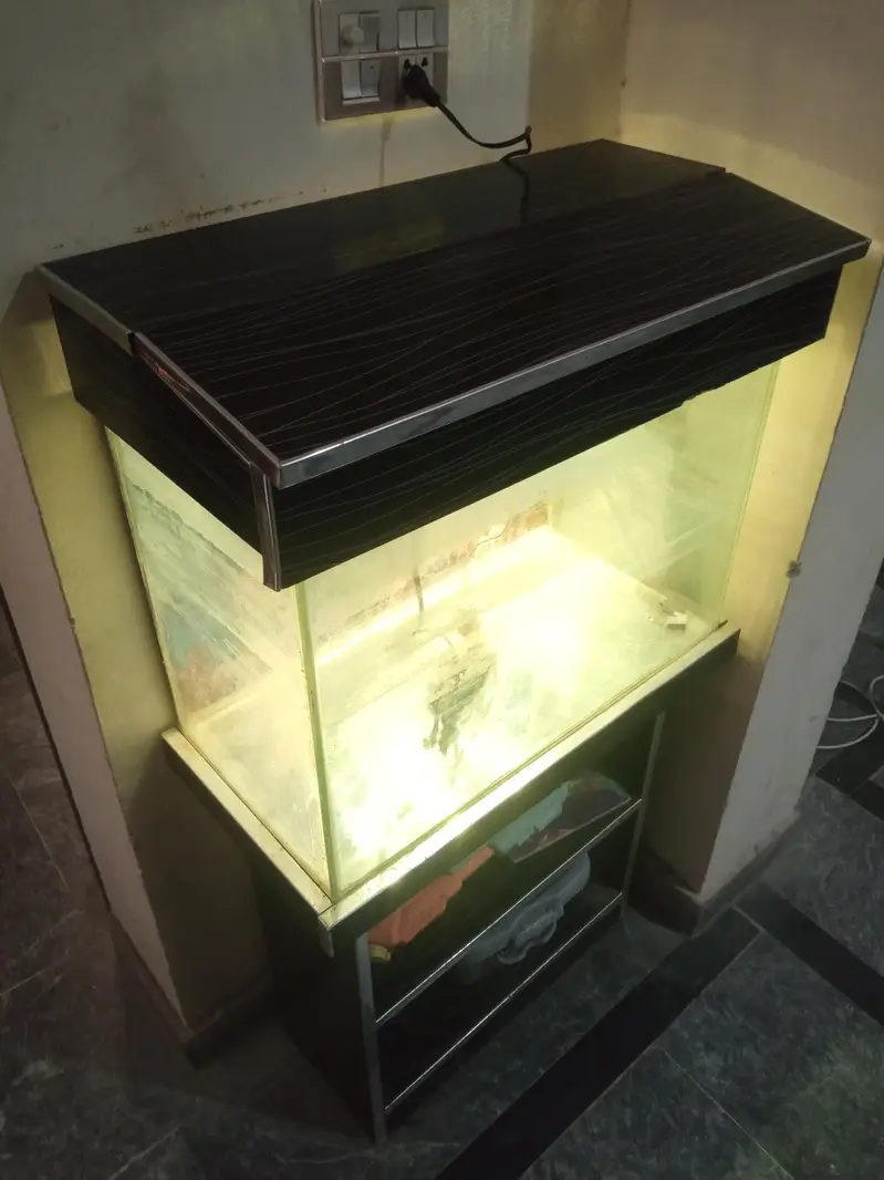Fish Aquarium In Good Ccondition — photo 5