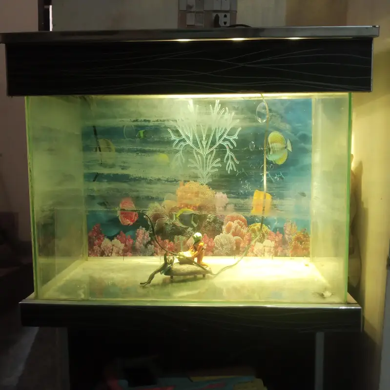 Fish Aquarium In Good Ccondition — photo 6