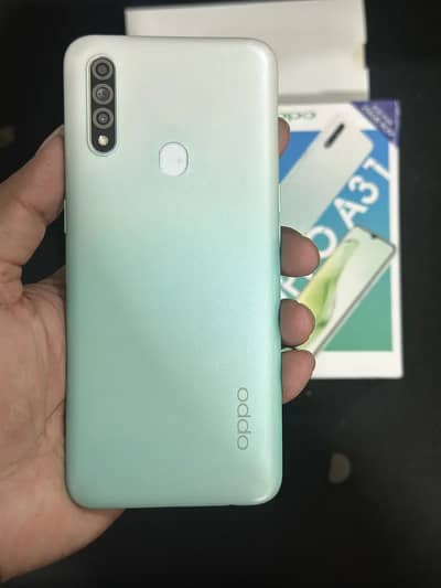 Oppo A31 8gb 256gb