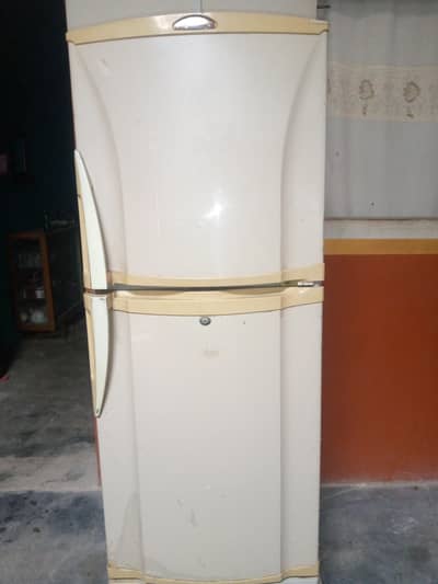 PEL fridge for sell medium Size Fast Colling