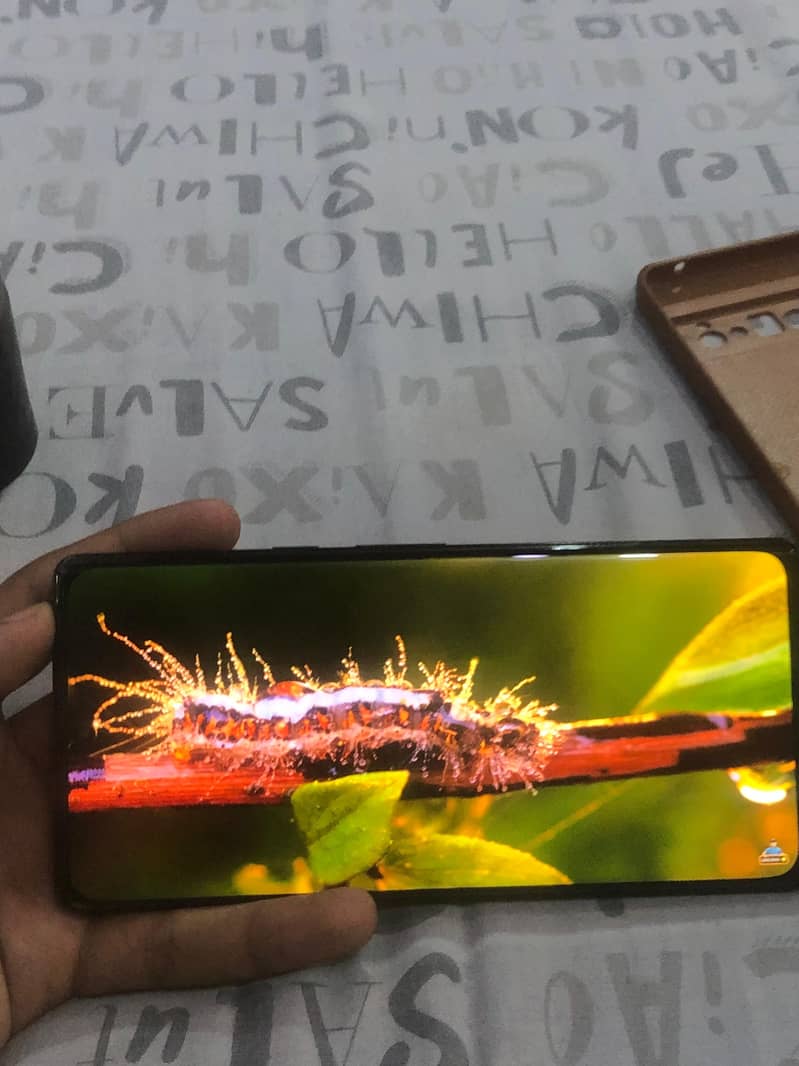 Google Pixel 6 Pro 6