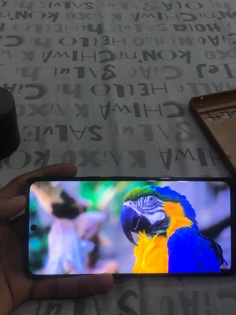 Google Pixel 6 Pro 7