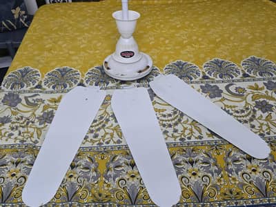 Rado Ceiling fans