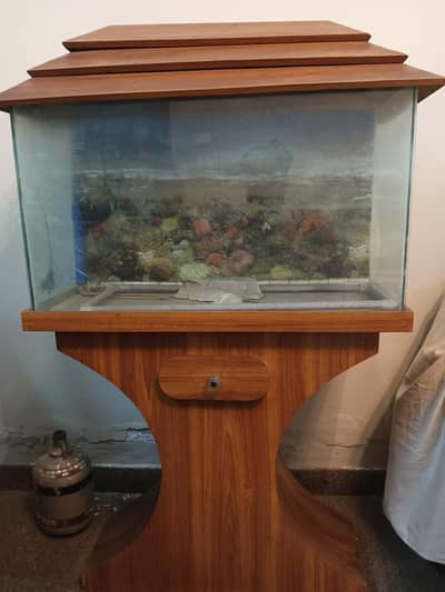 Fish Aquarium with wallpaper and some decorations