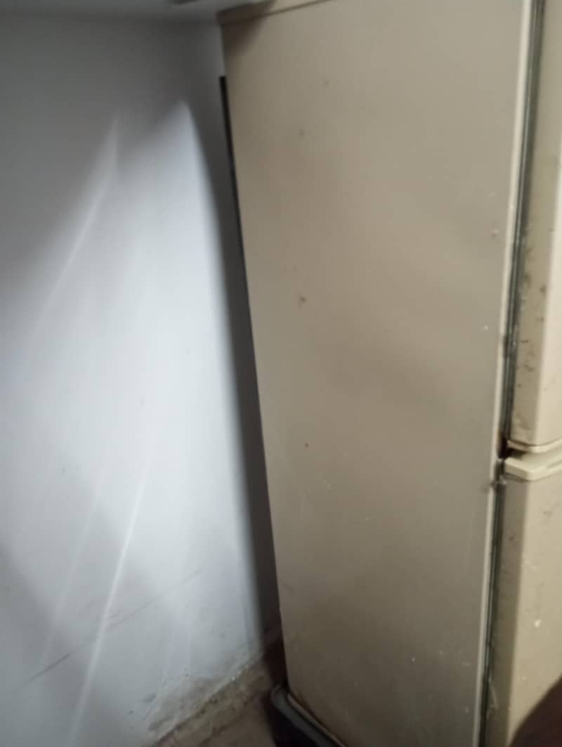 PEL fridge 2