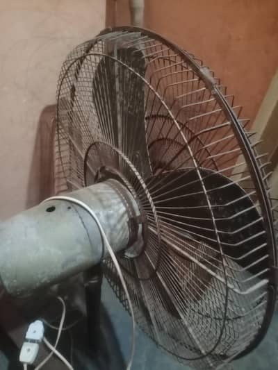 fans farshi