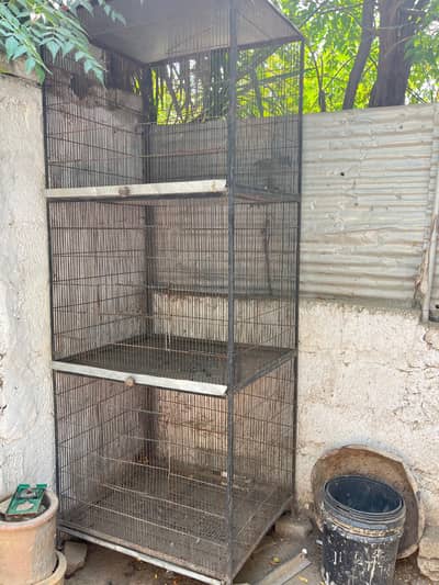 3 portion good sizee cage
