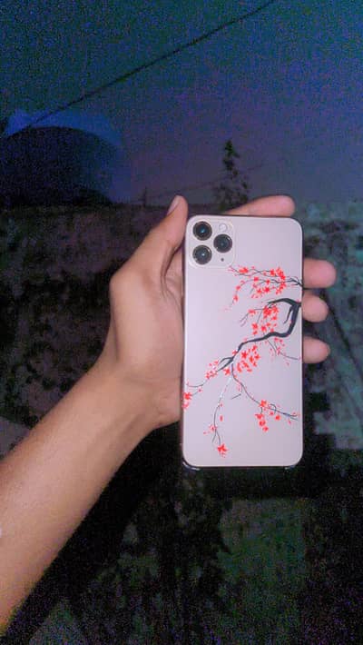 iPhone 11 Pro Max 64gb pta approve