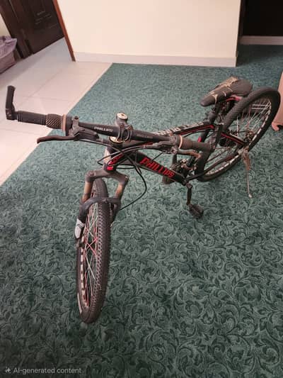 Bicycle Phillips Brand For Sale