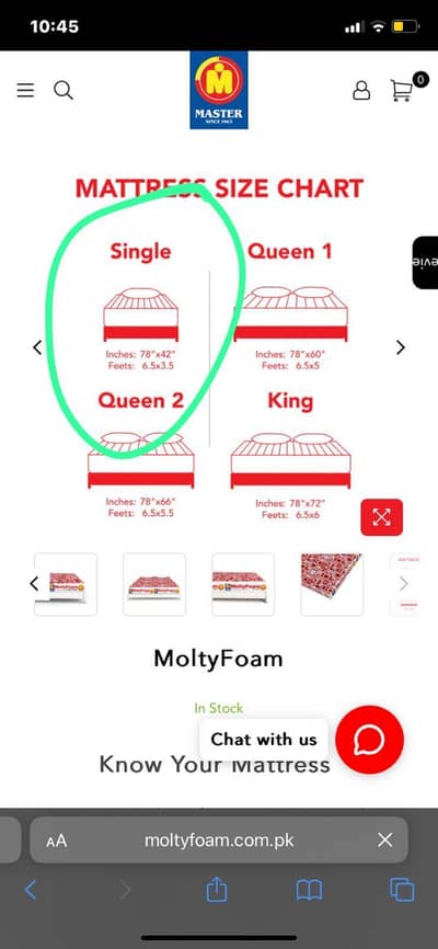 Master Molty Foam Mattress