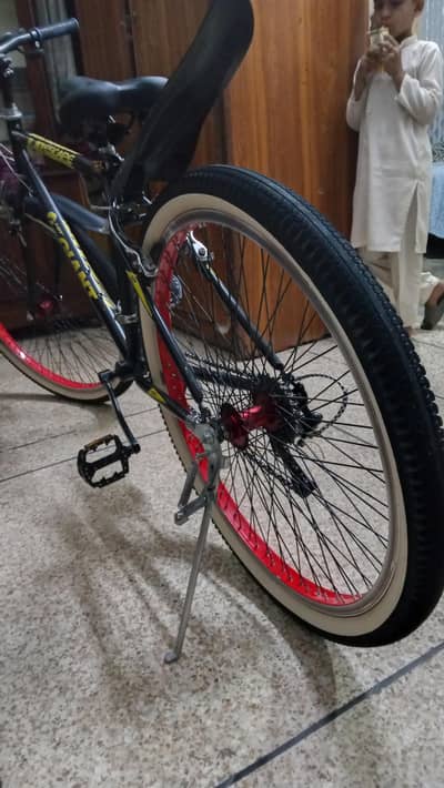 Cycle Giant Good Condition Original