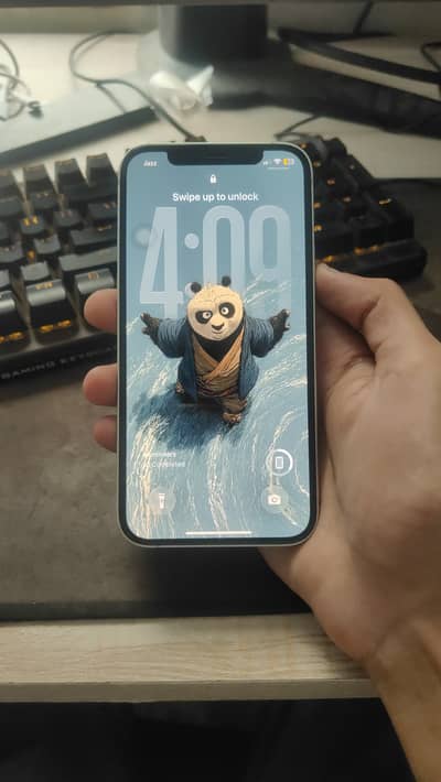 Apple iPhone 12 PTA Approved