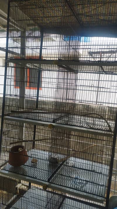 cage | iron cage | birds cage | portion cage | parrot cage | hens cage