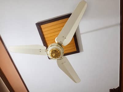 fan for sell