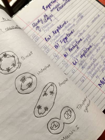 Practical Notebook (All Subjects/Any Type) – Handwritten Available