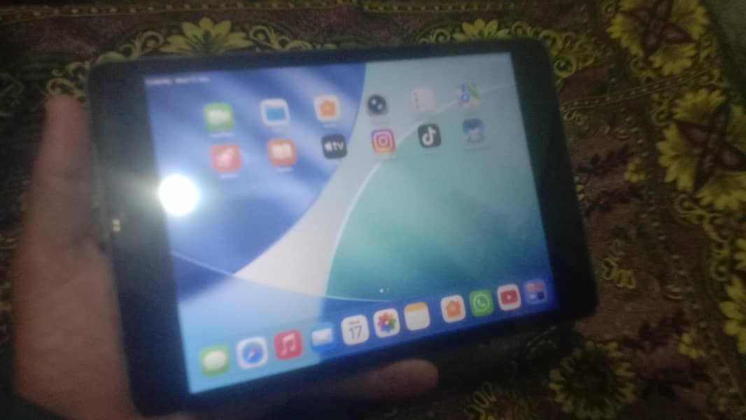Ipad Mini 5. Touch Missing Issue But Working 1