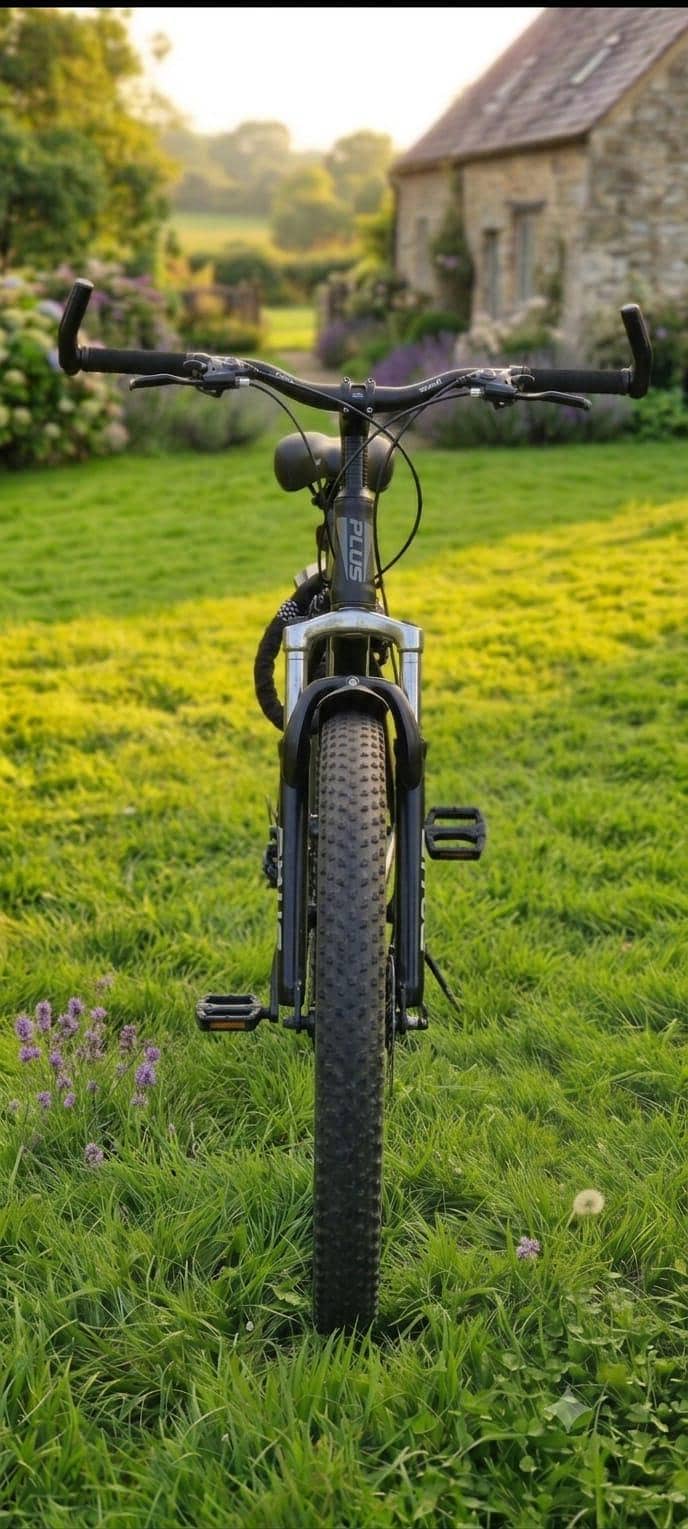 cycle 0