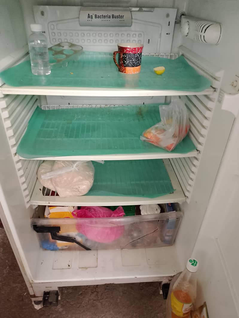 fridge 1