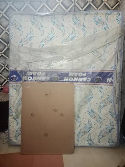 cannon foam