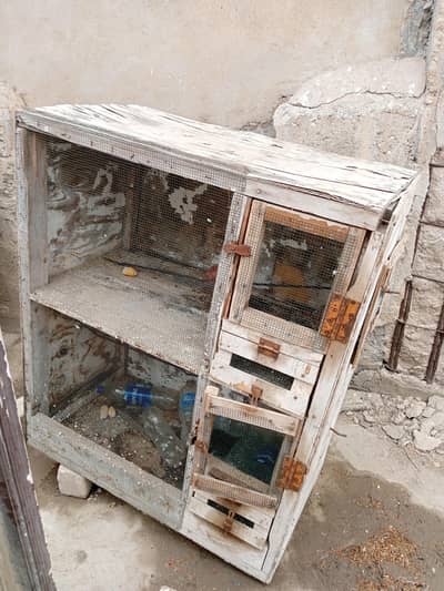 birds cage