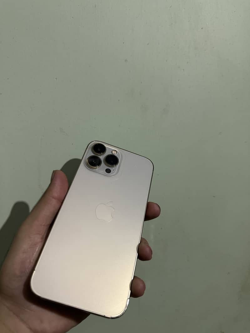 iPhone 13 Pro Max 1