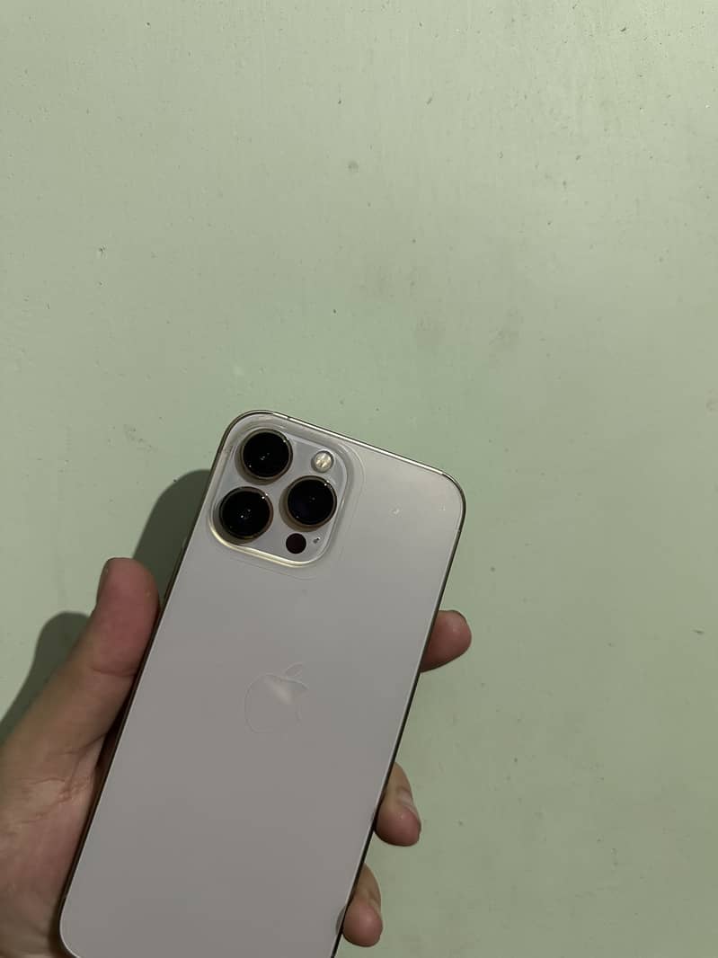 iPhone 13 Pro Max 2