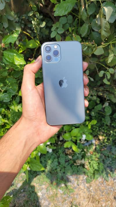 Apple iPhone 12 Pro 256GB PTA Approved