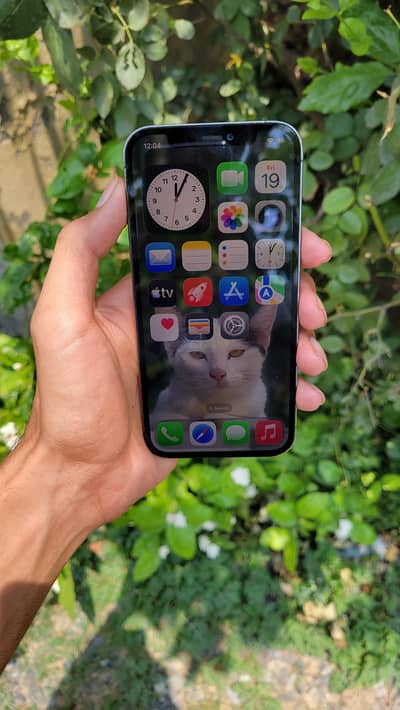 Apple iPhone 12 Pro 256GB PTA Approved