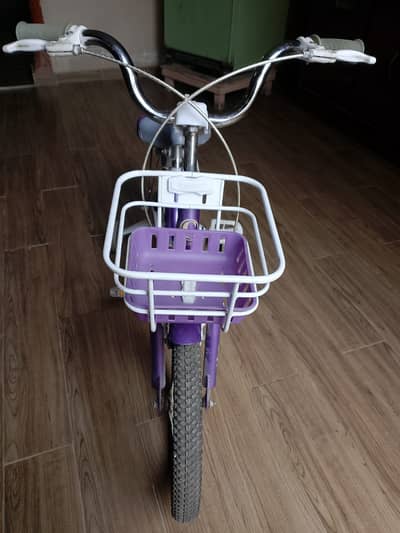 Champion Kids Bicycle 16" | Basket & Side Wheels | Excellent Condition