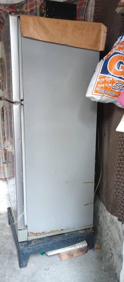 PEL medium size