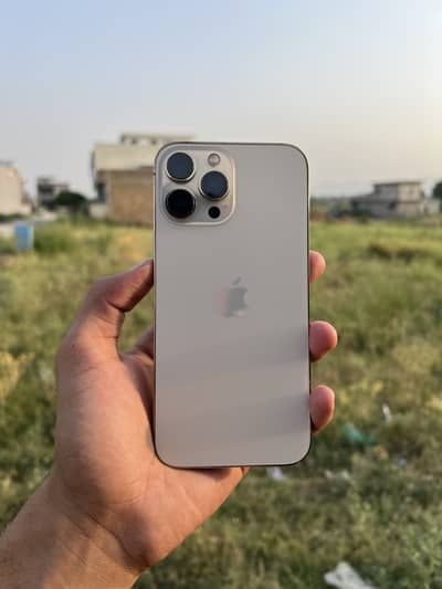 iPhone 13 Pro Max 256