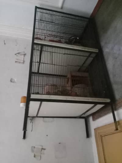 double cage for birds