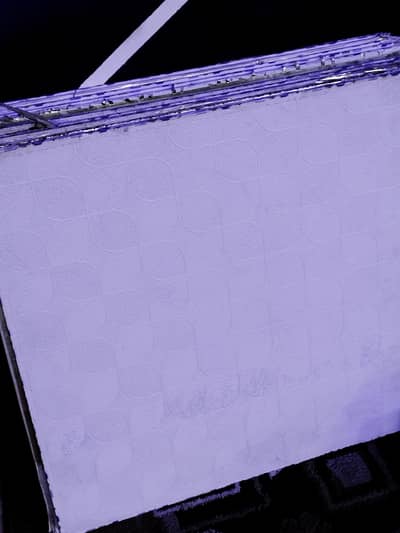 Gypsum Ceiling 100 plates Used