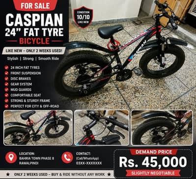 Caspian 24'' fat tyre bicycle