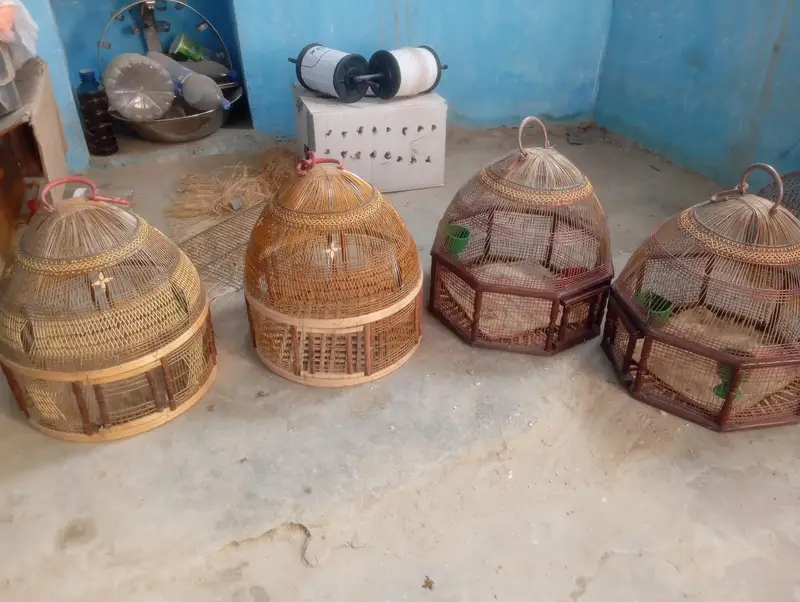 chakoor — photo 11