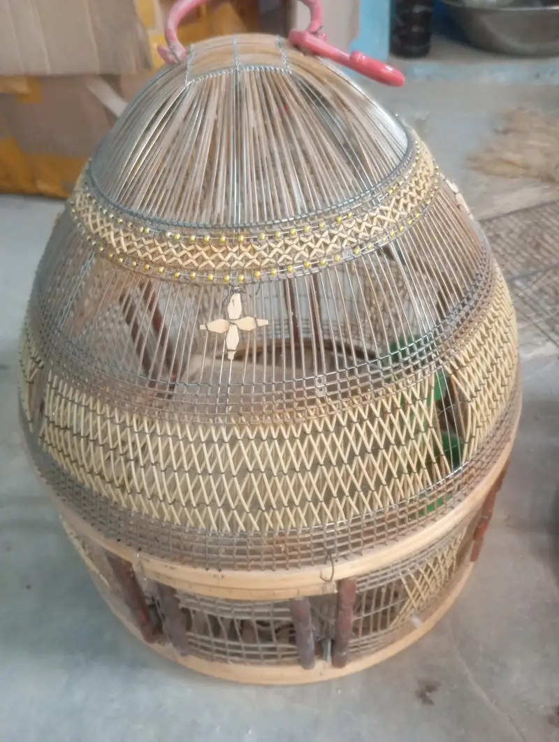 chakoor — photo 12
