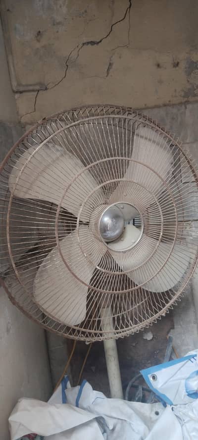 Fan Pedestal Fan