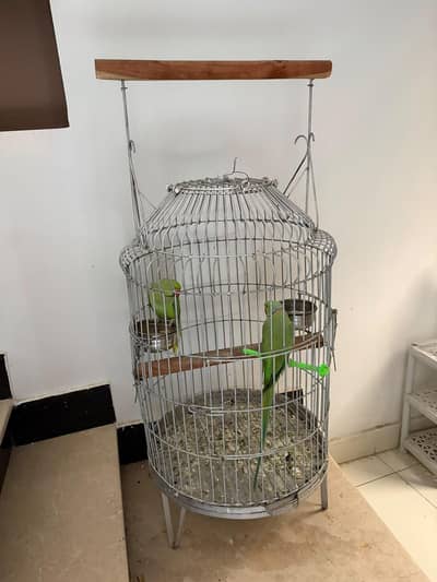 big cage for sale
