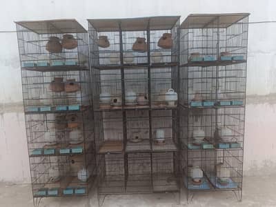 Bird Cages | Bird Accessories | Birds | Parrot Cages | Iron Cages |