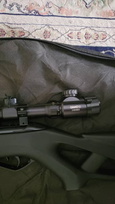 gamo target practice