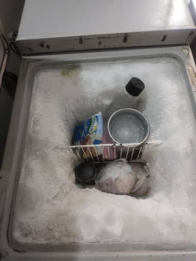 waves freezer 2 door. 03008648775