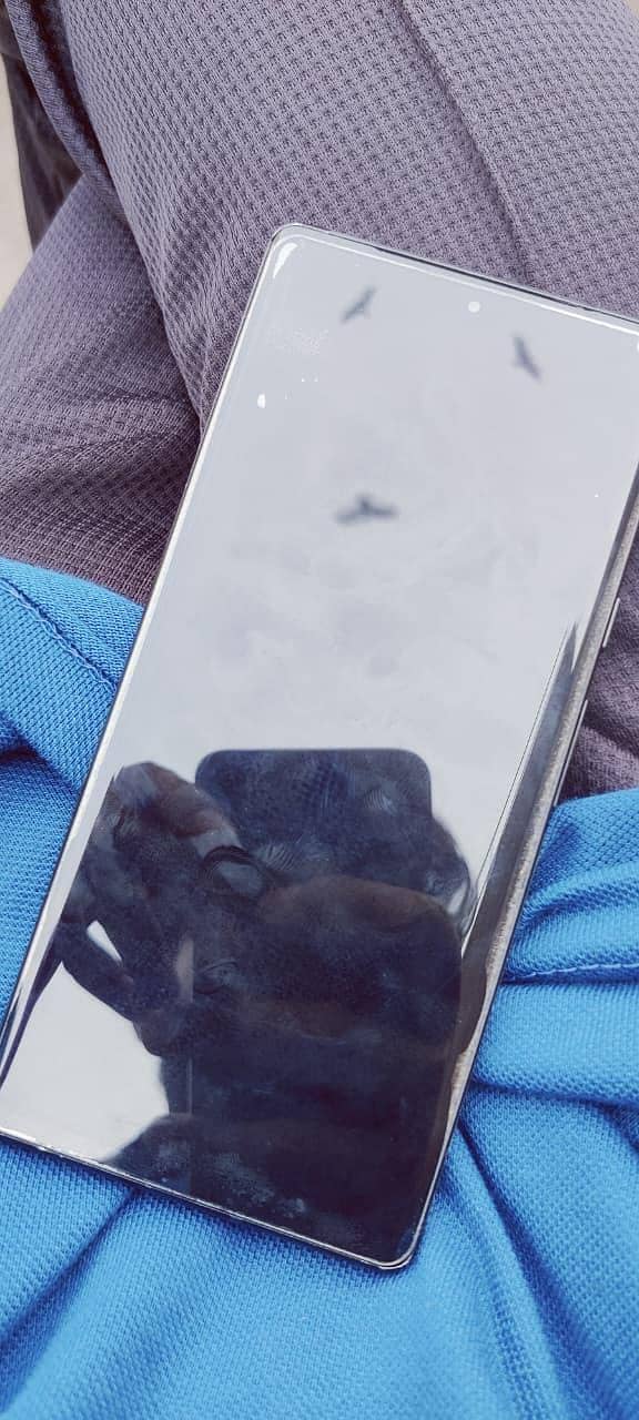 Google Pixel 6 Pro 1
