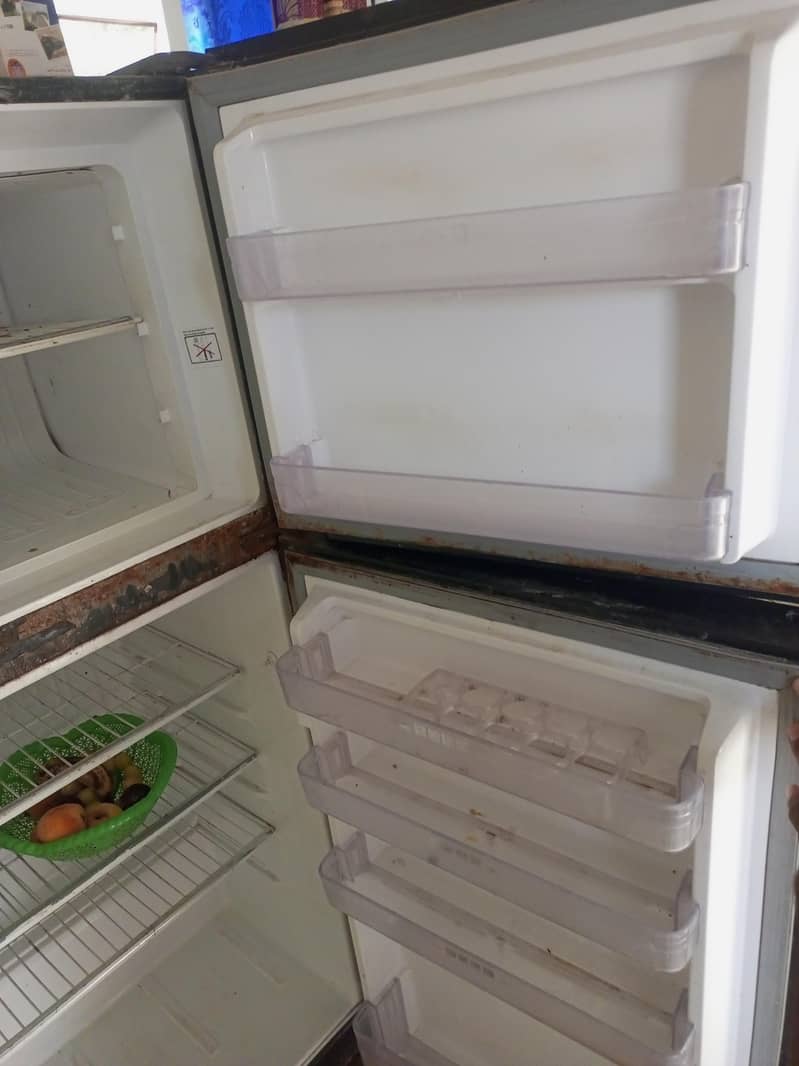 Fridge 5