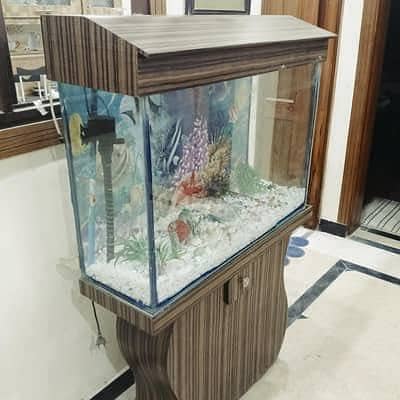 Aquarium