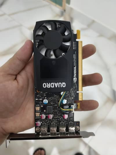 (Budget GPU for gaming) Nvidia p620 ddr5 2gb ram 128bit