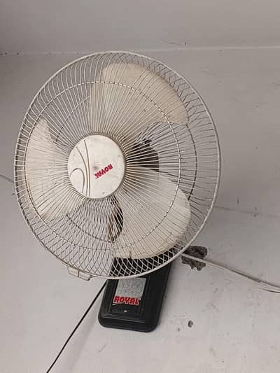 royal fan