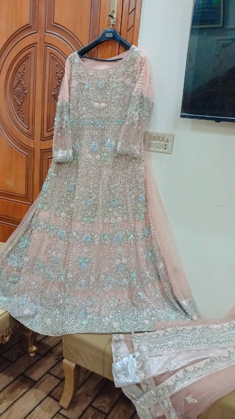 walima maxci 1