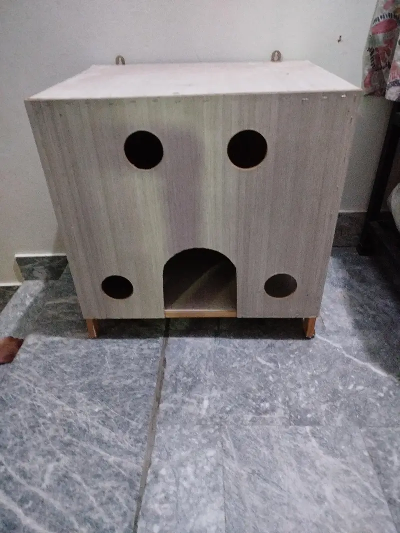 Cat House