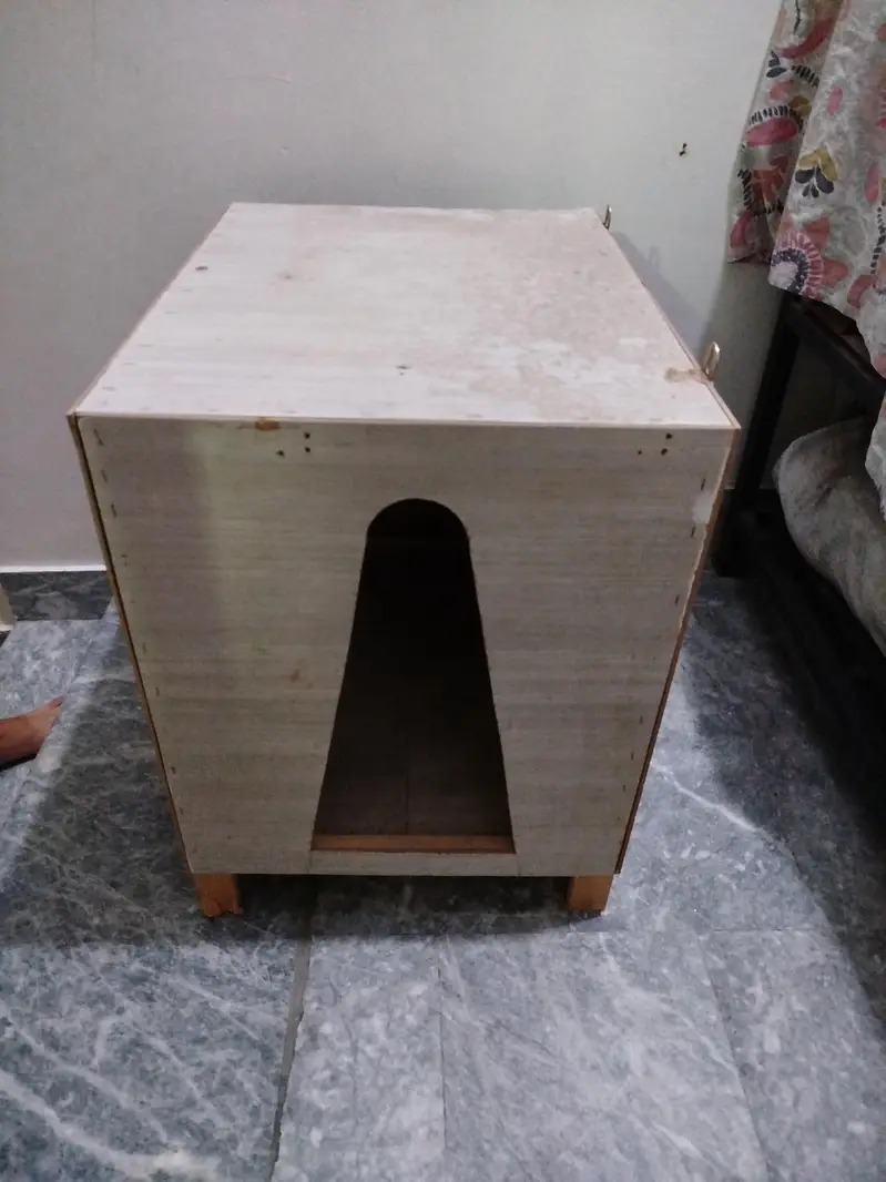 Cat House — photo 2
